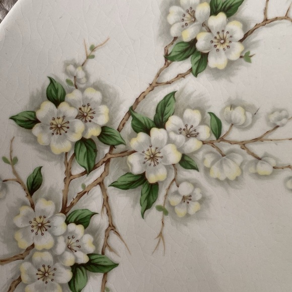 Royal Staffordshire by Clarice Cliff. Blossom. Dinner plate 9” diameter - Picture 2 of 4